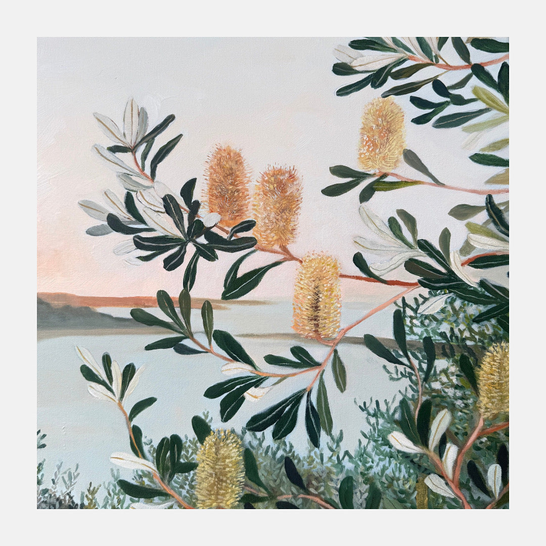 Banksias over the Bay