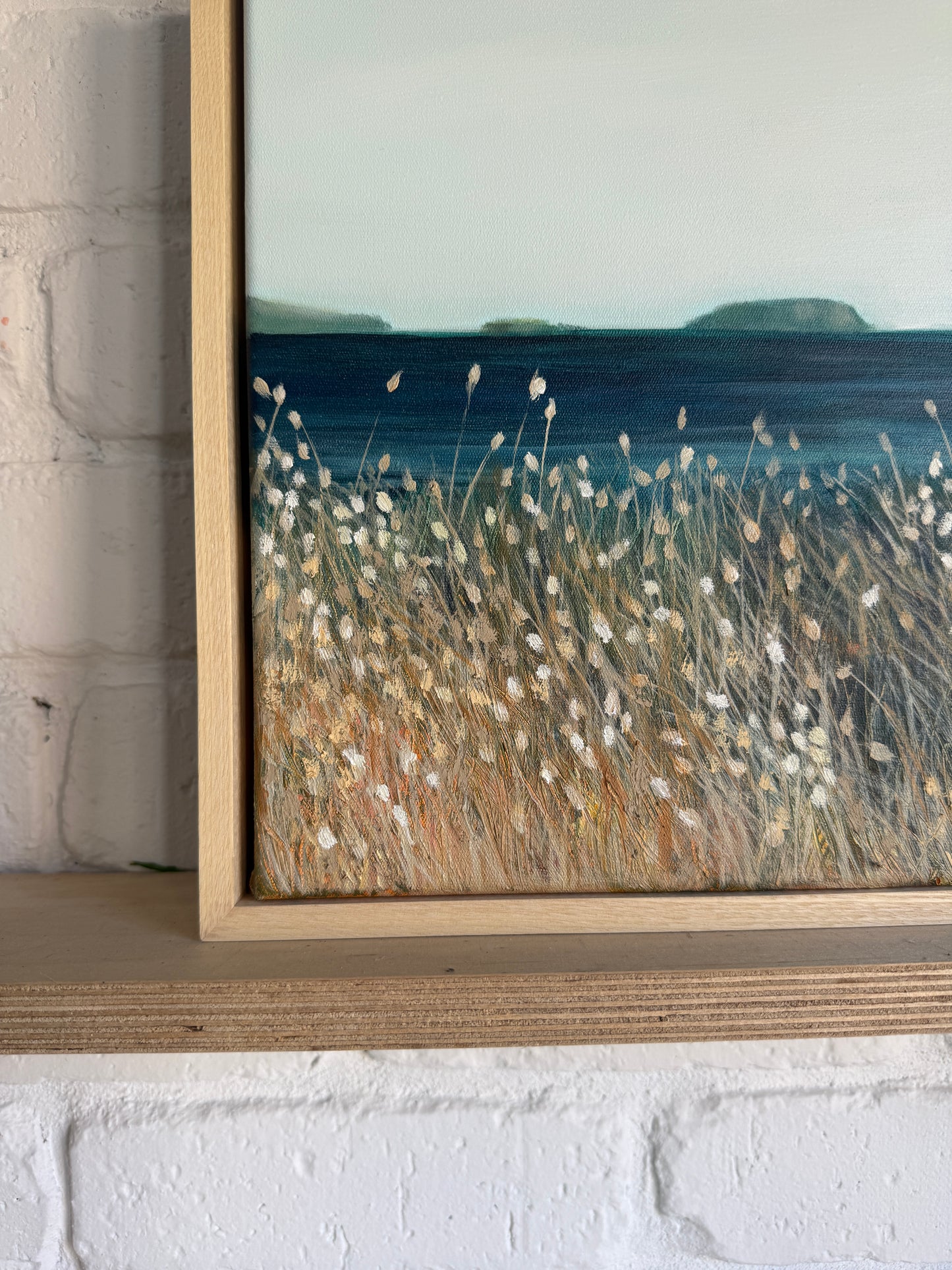 Summertime at Pt Leo