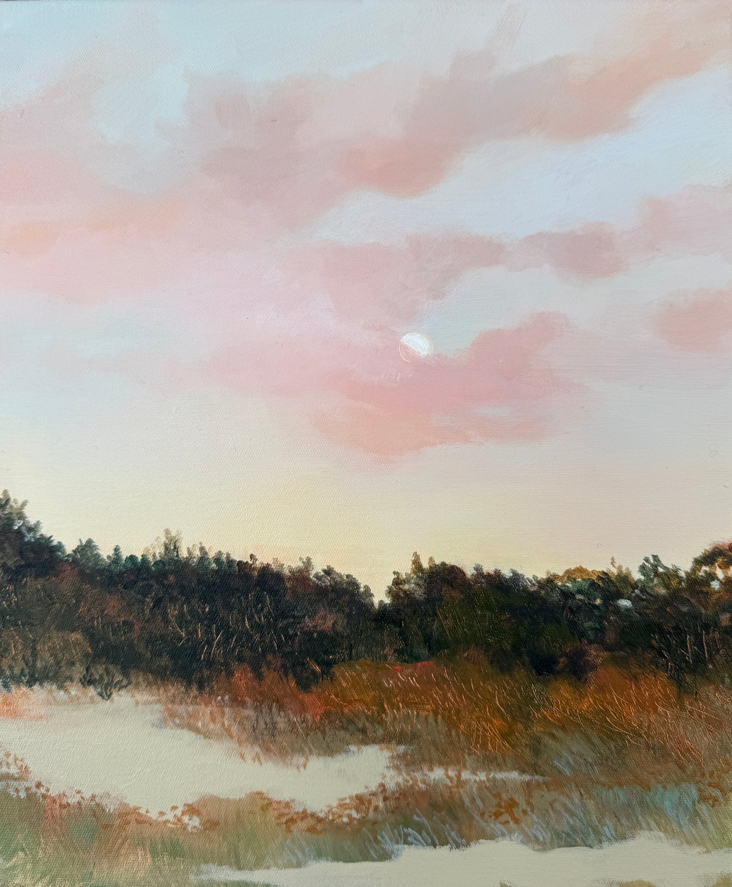 Pink Clouds