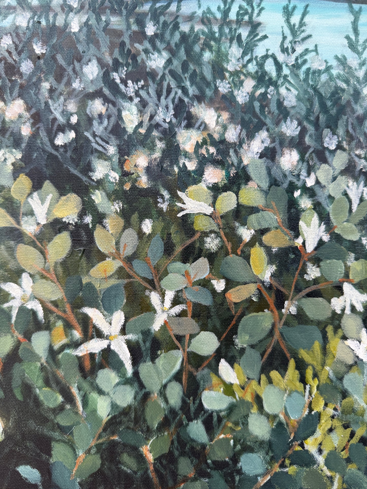 Breezes Along The Coast