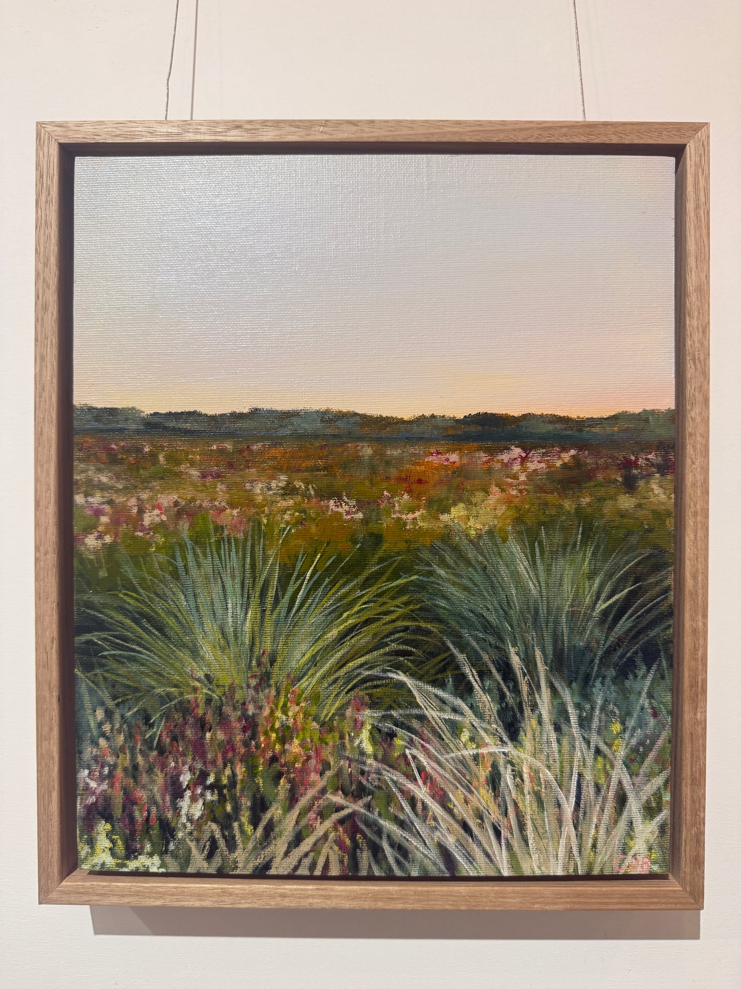 Warringine Wetlands at Dusk