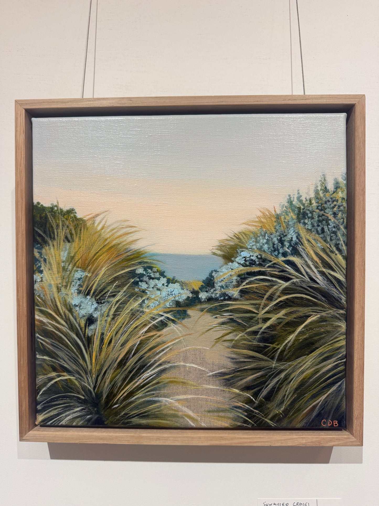 Sunkissed Grasses