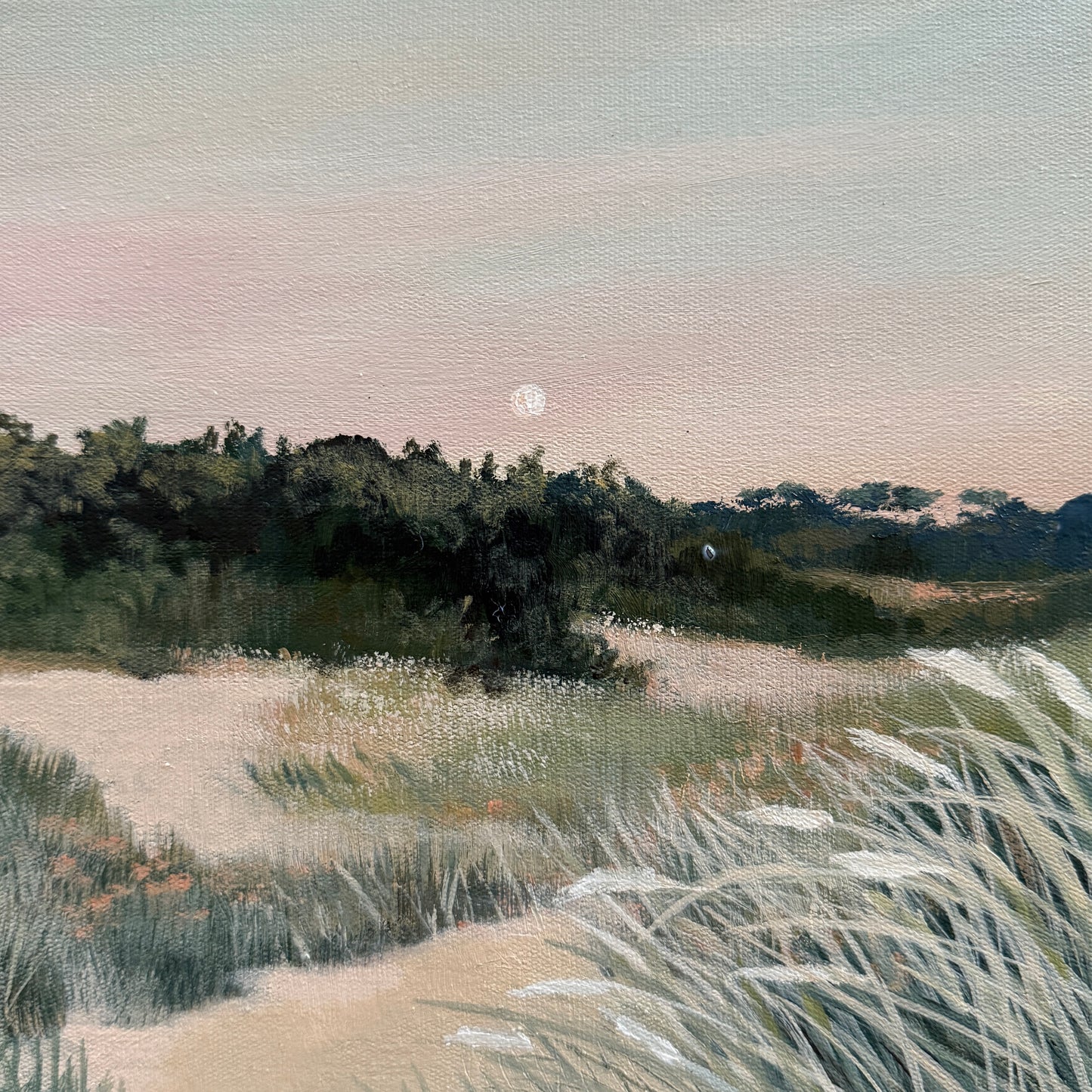 Moon over the Dunes