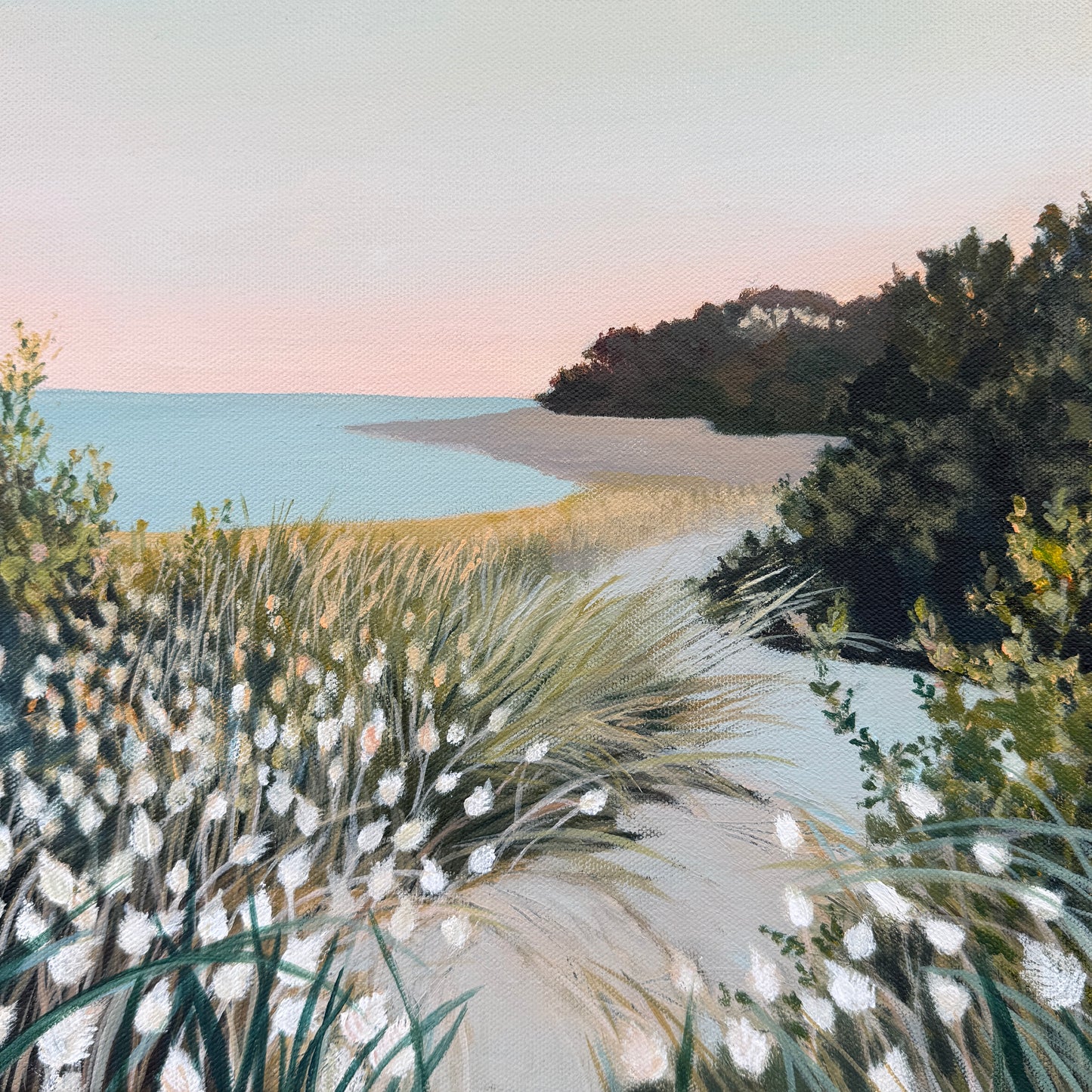 Balnarring Beach
