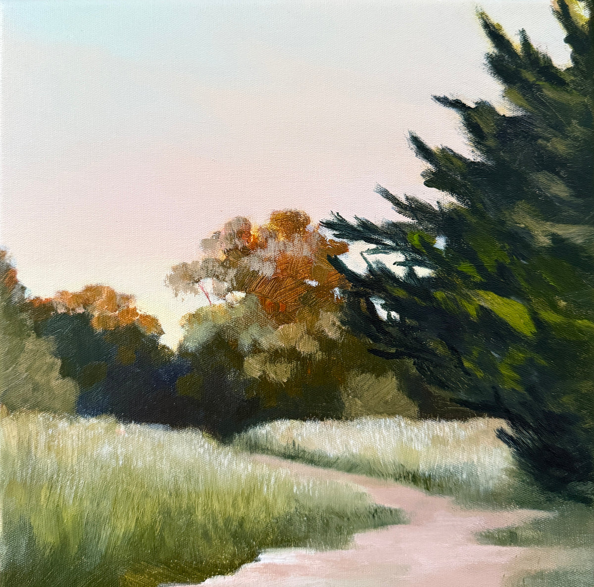 Evening walk