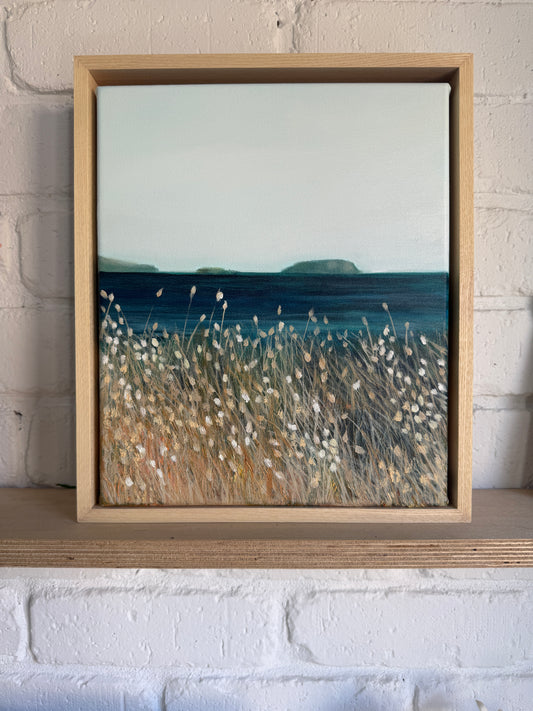 Summertime at Pt Leo