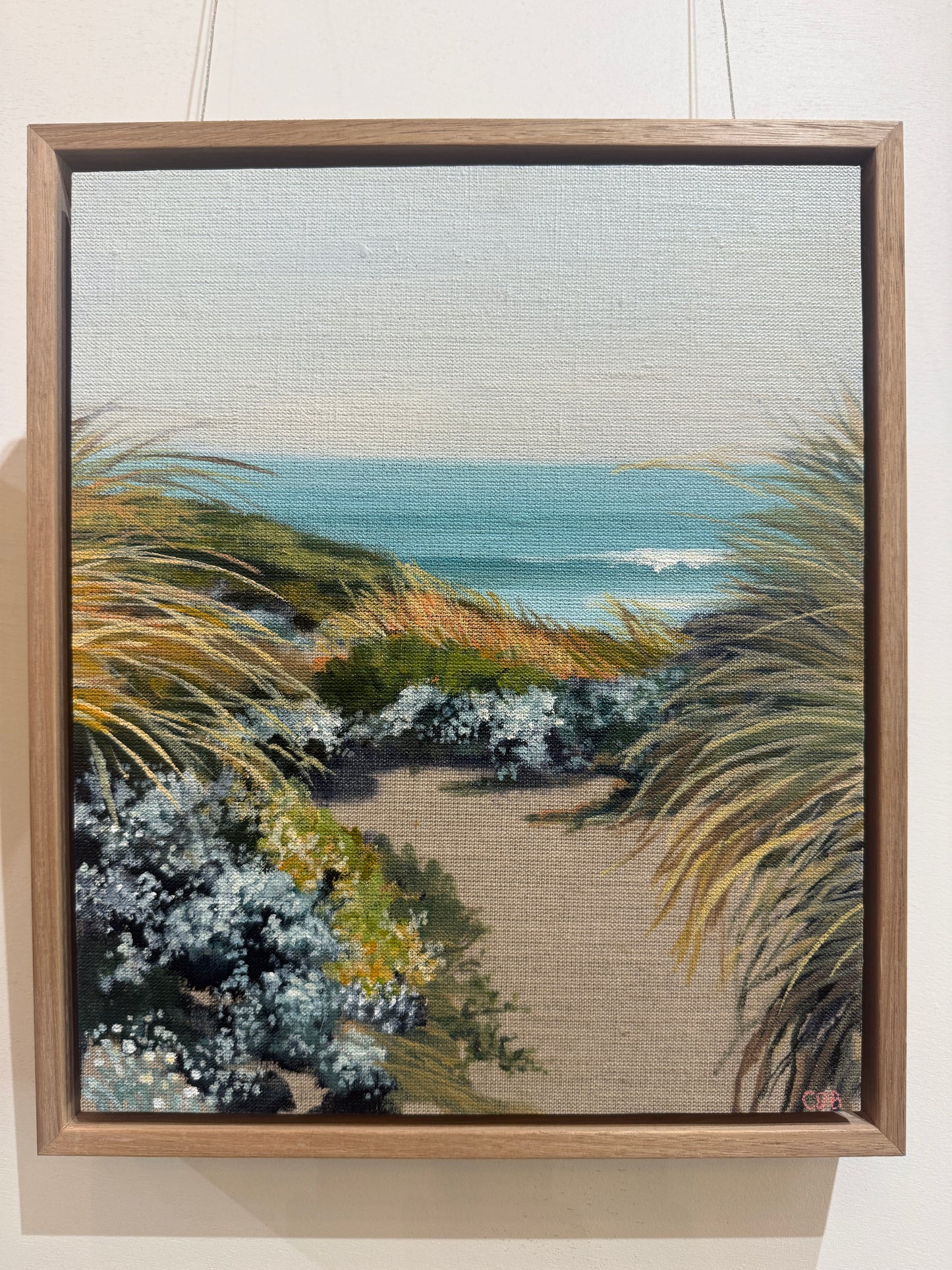 Coastal Hues