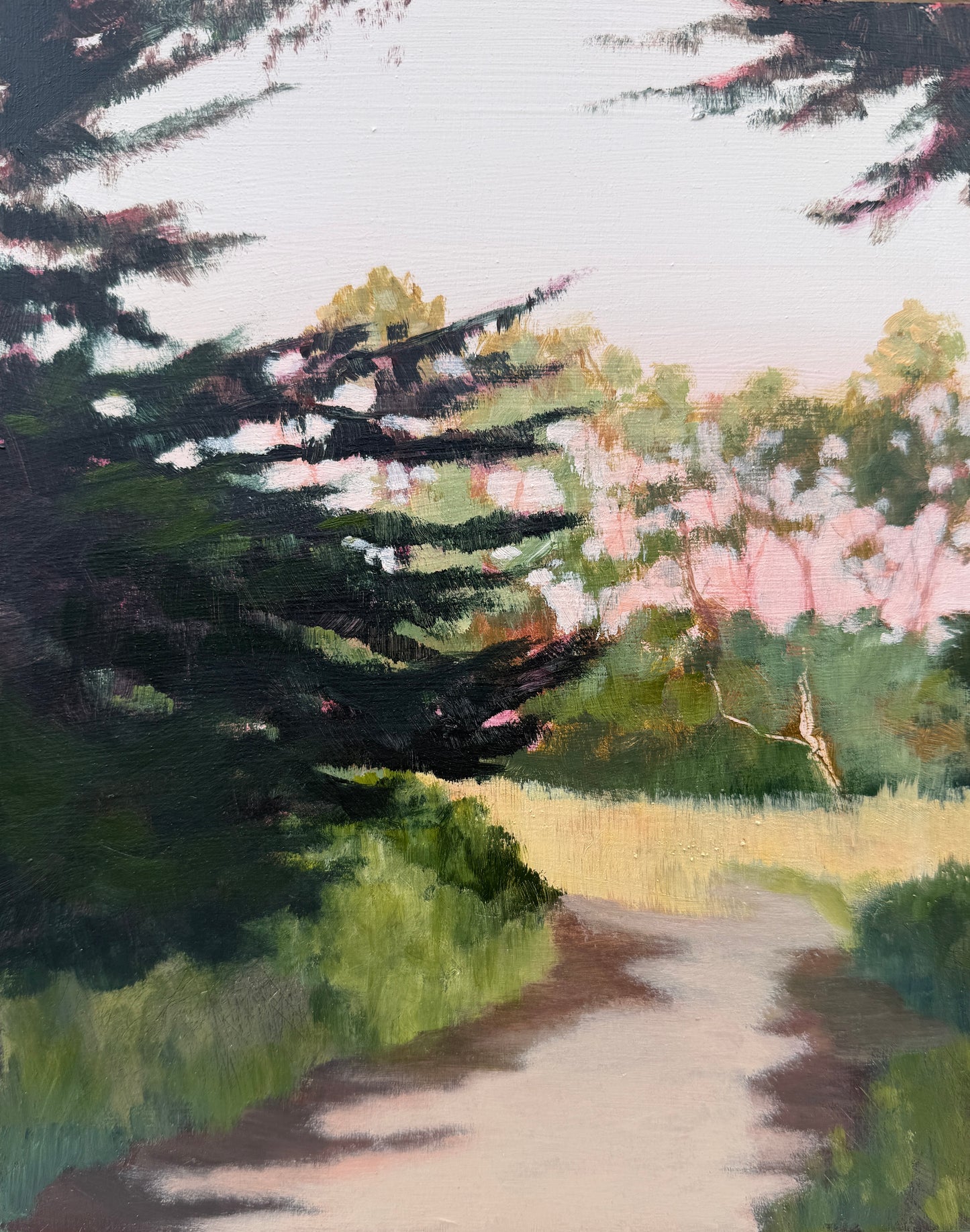 Dappled Light