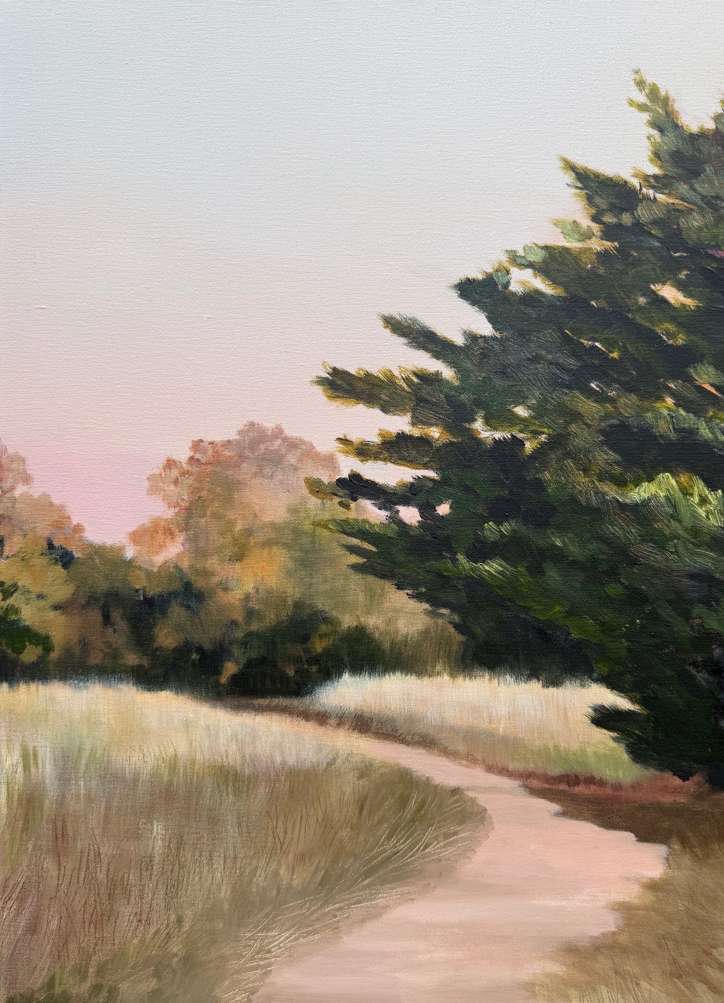 A Soft Light
