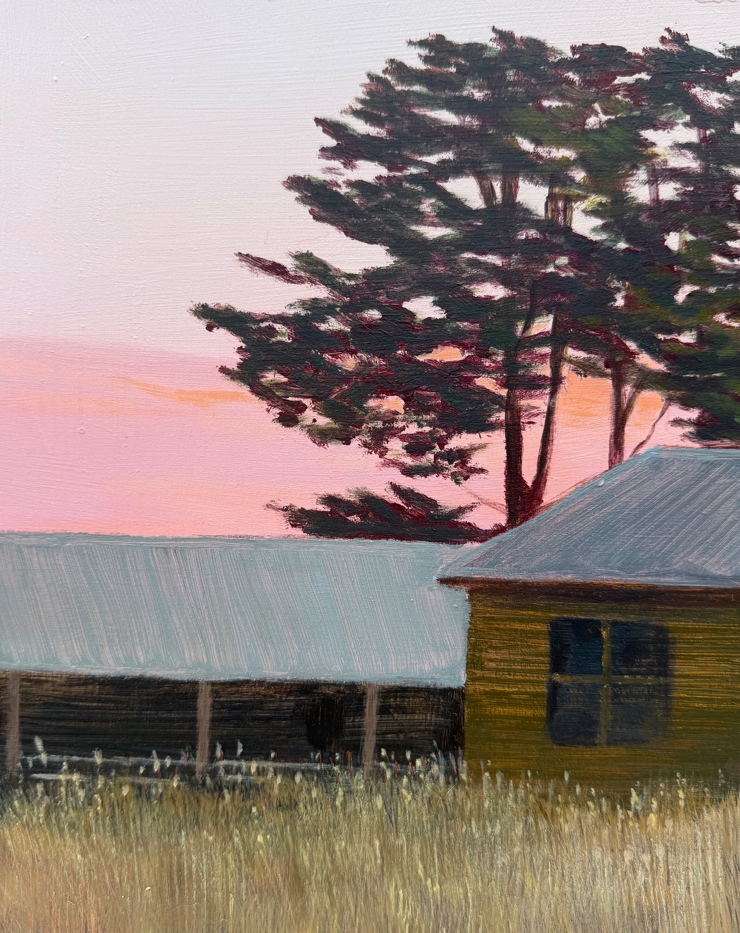 Pink Horizon