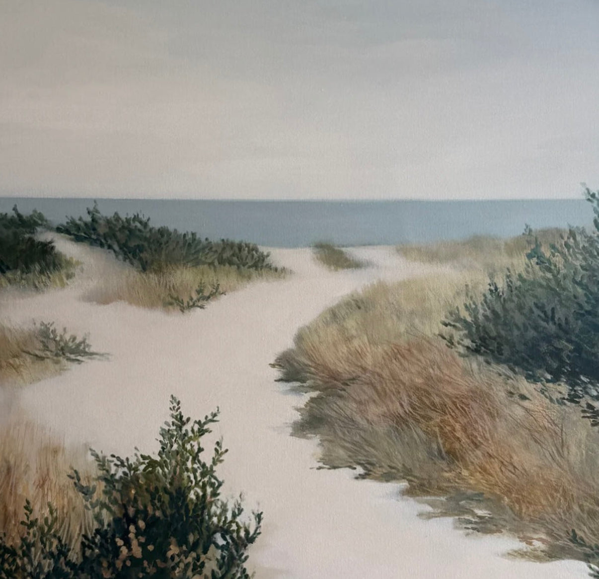Tea Tree Tracks