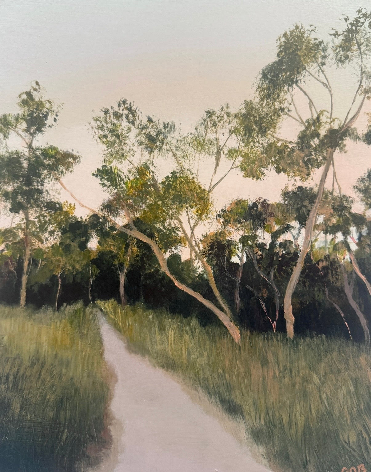 Falling Light