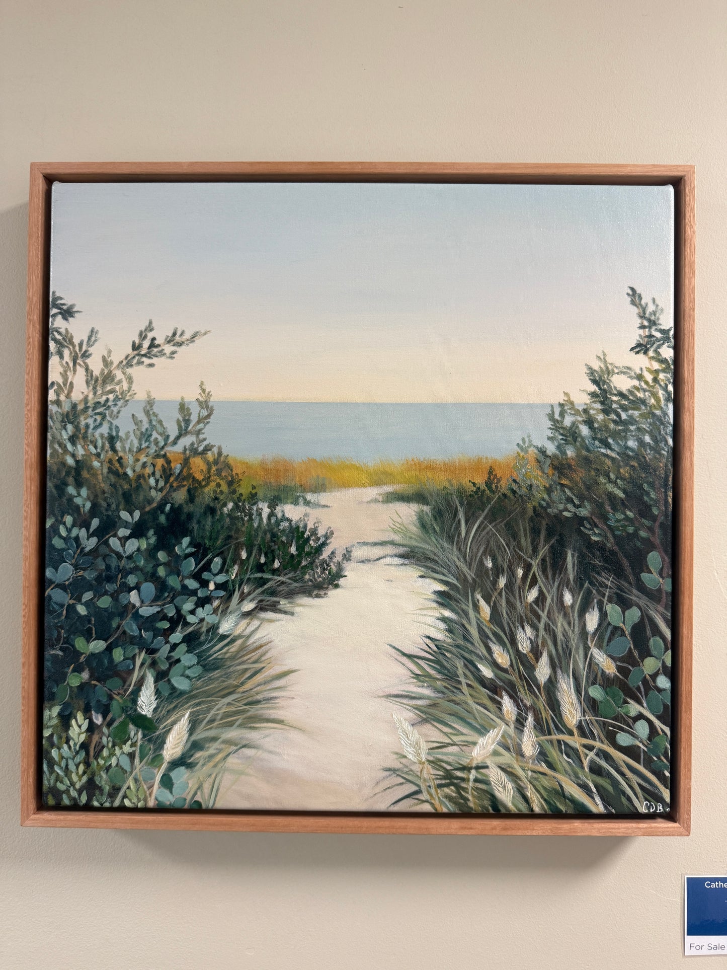 Sandy Paths