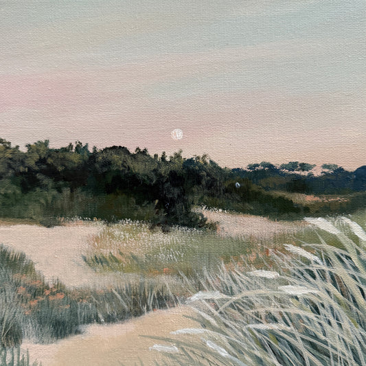 Moon over the Dunes