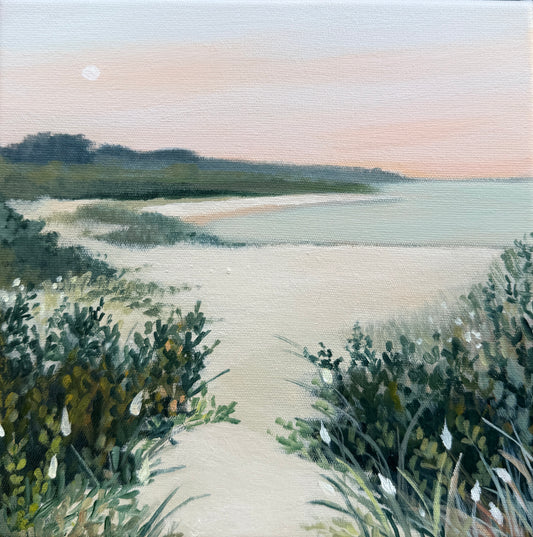 Through the Dunes